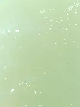 pegaso369 online show from 09/29/25, 01:05