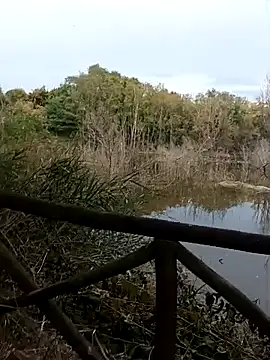 pegaso369 online show from 10/20/25, 02:39