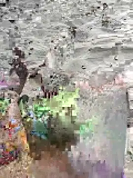 Snapshot of pegaso369 chatting on 06/16/26, 02:52 pegaso369 online show from 06/16/26, 02:52