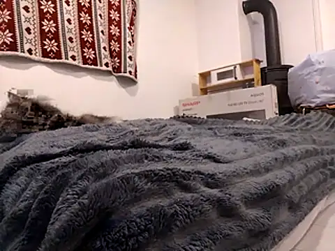 HoneySquirrel online show from 10/10/25, 05:23