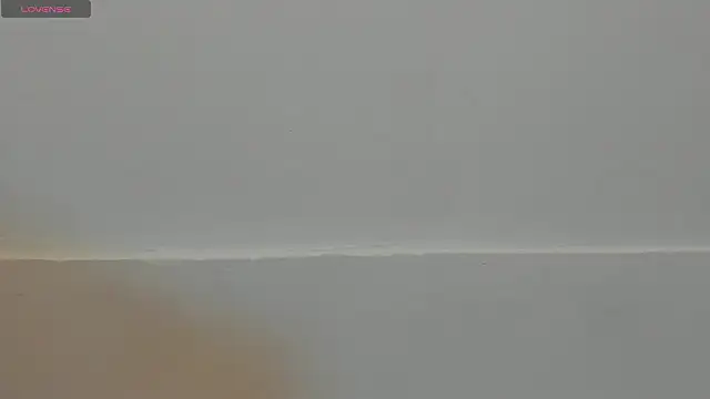 VioletRose as online show from 02/11/26, 08:03