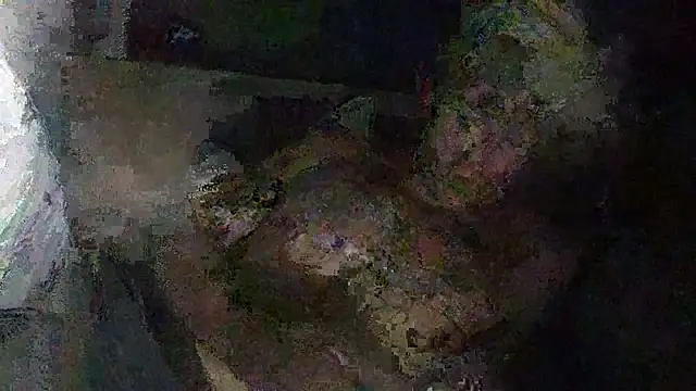 IsAparty online show from 10/11/25, 05:28