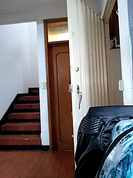 Venus Rivers online show from 11/13/25, 01:10