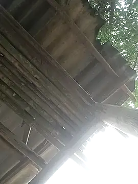 CoMay003 online show from 04/02/26, 05:27