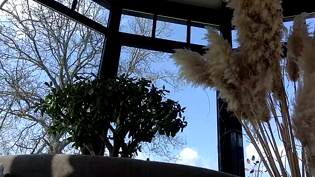 3615-ULLA online show from 03/22/26, 11:57