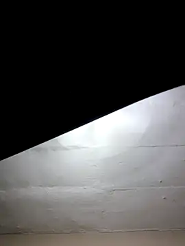 mileesha online show from 01/17/26, 06:33