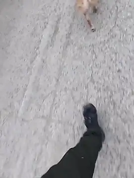 Snapshot of Axelitoc chatting on 03/05/26, 06:09 Axelitoc online show from 03/05/26, 06:09