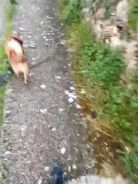 Snapshot of Axelitoc chatting on 04/16/26, 05:08 Axelitoc online show from 04/16/26, 05:08