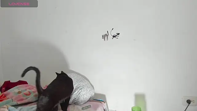 Snapshot of Raven_Rouge_ chatting on 09/26/25, 06:17 Raven Rouge  online show from 09/26/25, 06:17