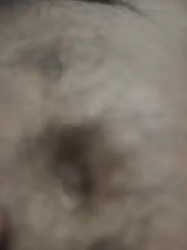 Snapshot of Hat-Raja77 chatting on 10/08/25, 06:27 Hat-Raja77 online show from 10/08/25, 06:27