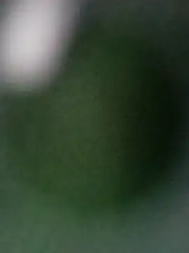 Punam ji online show from 10/28/25, 07:12