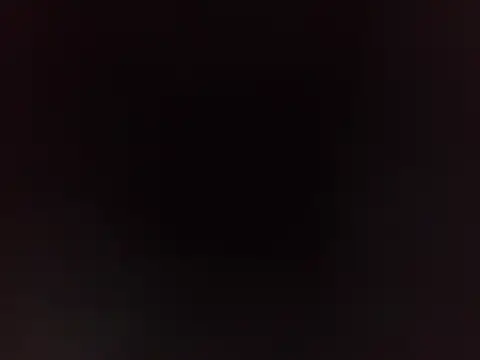 PeludoBrasil online show from 03/16/26, 04:11