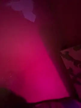 saumon3022 online show from 09/16/25, 08:54