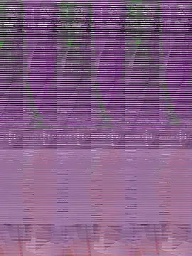 Snapshot of its_Surya_BBC chatting on 12/04/25, 07:44 its Surya BBC online show from 12/04/25, 07:44