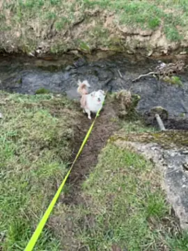 OliviaaFischer online show from 03/12/26, 01:39