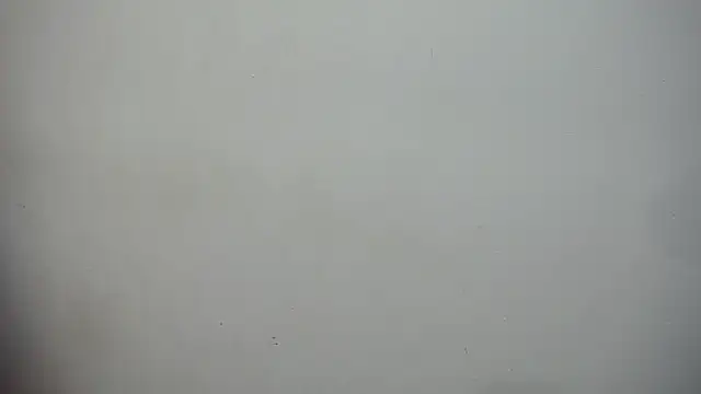 nenaa stg online show from 09/12/25, 01:17