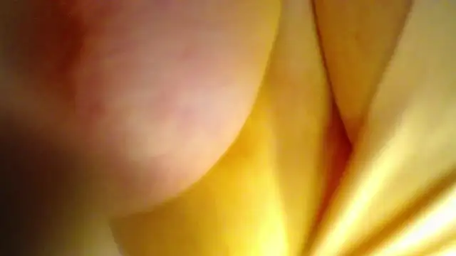 Snapshot of AntonellaRicher chatting on 09/26/25, 01:42 AntonellaRicher online show from 09/26/25, 01:42