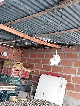 hoteder online show from 12/04/25, 12:47