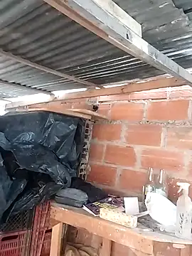 hoteder online show from 03/23/26, 12:20