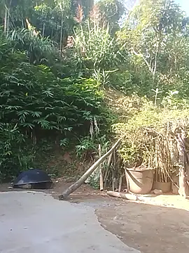 Snapshot of Ruaiuoi chatting on 05/26/26, 12:39 Ruaiuoi online show from 05/26/26, 12:39