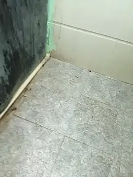 Snapshot of Desi_Partycapal chatting on 11/13/25, 03:49 Desi Partycapal online show from 11/13/25, 03:49