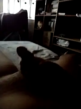 CadencedMimesis online show from 09/27/25, 08:30