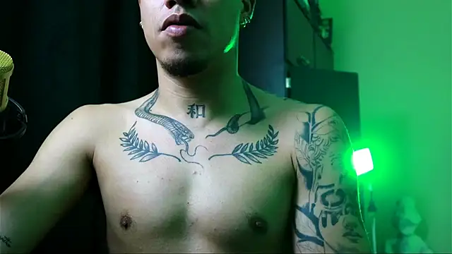 Snapshot of AlphaMasterXxx chatting on 12/02/25, 04:07 AlphaMasterXxx online show from 12/02/25, 04:07