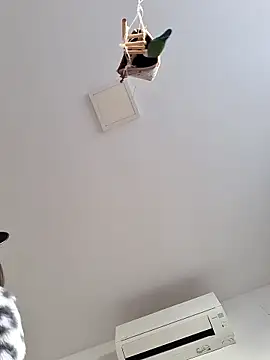 Snapshot of SweetSun69 chatting on 03/31/26, 07:42 SweetSun69 online show from 03/31/26, 07:42