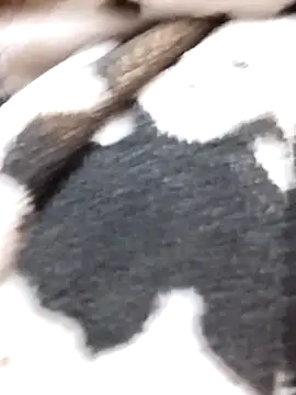 Laxmi 89 online show from 11/27/25, 03:52