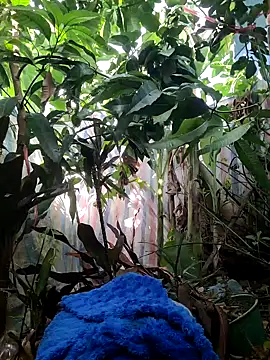 Snapshot of Kiki-vivi chatting on 09/16/25, 01:17 Kiki-vivi online show from 09/16/25, 01:17