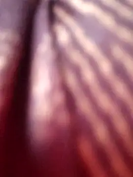 Snapshot of Tamilreethu chatting on 10/05/25, 08:45 Tamilreethu online show from 10/05/25, 08:45