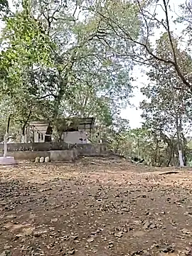 yung cplz online show from 02/07/26, 07:34