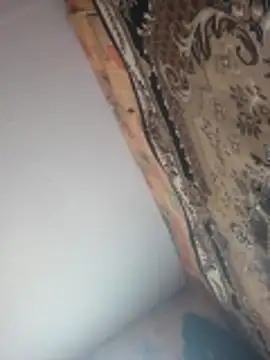 Snapshot of Romashka33011 chatting on 03/25/26, 08:31 Romashka33011 online show from 03/25/26, 08:31