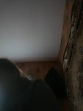 Snapshot of Romashka33011 chatting on 03/31/26, 08:15 Romashka33011 online show from 03/31/26, 08:15