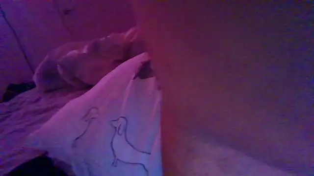 Snapshot of Shy_straightguy chatting on 11/24/25, 05:01 Shy straightguy online show from 11/24/25, 05:01