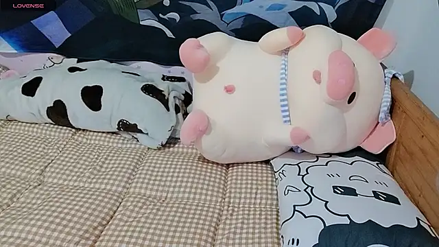 Snapshot of 9TVVALK chatting on 09/13/25, 11:43 9TVVALK online show from 09/13/25, 11:43