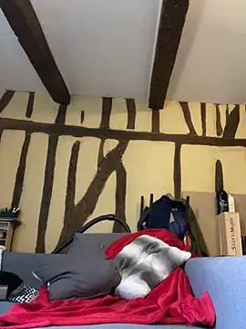 Toto-pika online show from 03/26/26, 08:53