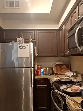 Snapshot of PremiumKitty chatting on 02/20/26, 10:27 PremiumKitty online show from 02/20/26, 10:27