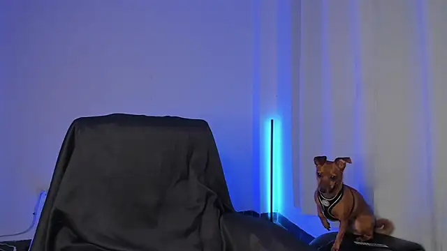 Snapshot of nathan_blake chatting on 12/19/25, 07:32 nathan blake online show from 12/19/25, 07:32