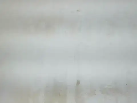 Cute mikii online show from 12/05/25, 04:54