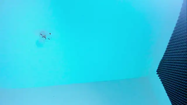 Ellope  online show from 10/22/25, 11:04