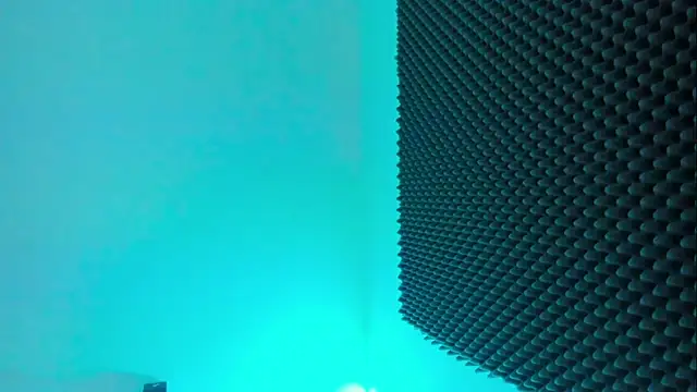 Ellope  online show from 10/29/25, 11:17