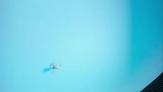 Snapshot of Im_naho chatting on 03/30/26, 10:00 Im naho online show from 03/30/26, 10:00