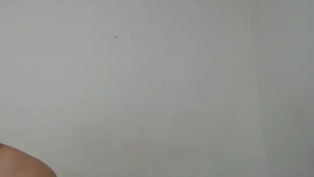 Ana ThiagoxX online show from 09/14/25, 02:54