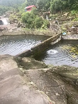 PhanHaa online show from 11/10/25, 09:30