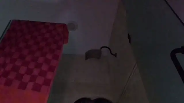 TallDrink11 online show from 09/29/25, 10:25