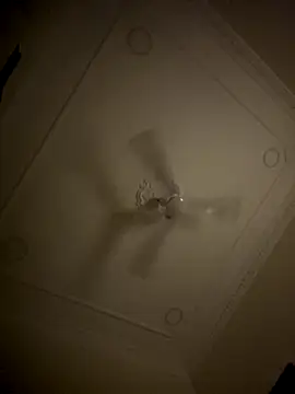 Snapshot of Samsamo999 chatting on 10/16/25, 11:17 Samsamo999 online show from 10/16/25, 11:17