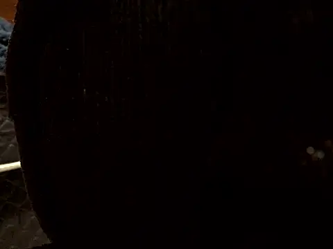 Snapshot of Kushzin chatting on 04/09/26, 09:58 Kushzin online show from 04/09/26, 09:58