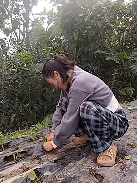 linda bae00 online show from 11/15/25, 01:58