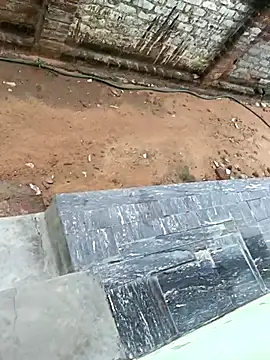 dolphiinn online show from 10/17/25, 02:48